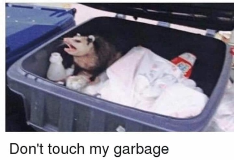 Opossum hissing from inside an open grey garbage bin, captioned Don't touch my garbage.