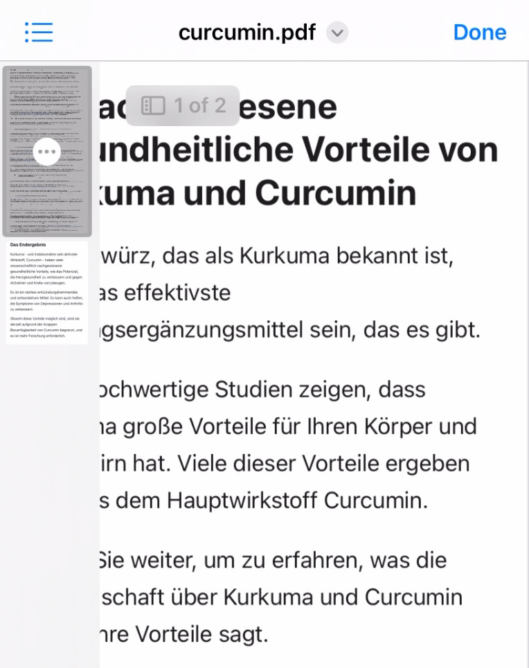 PDF file with pages preview